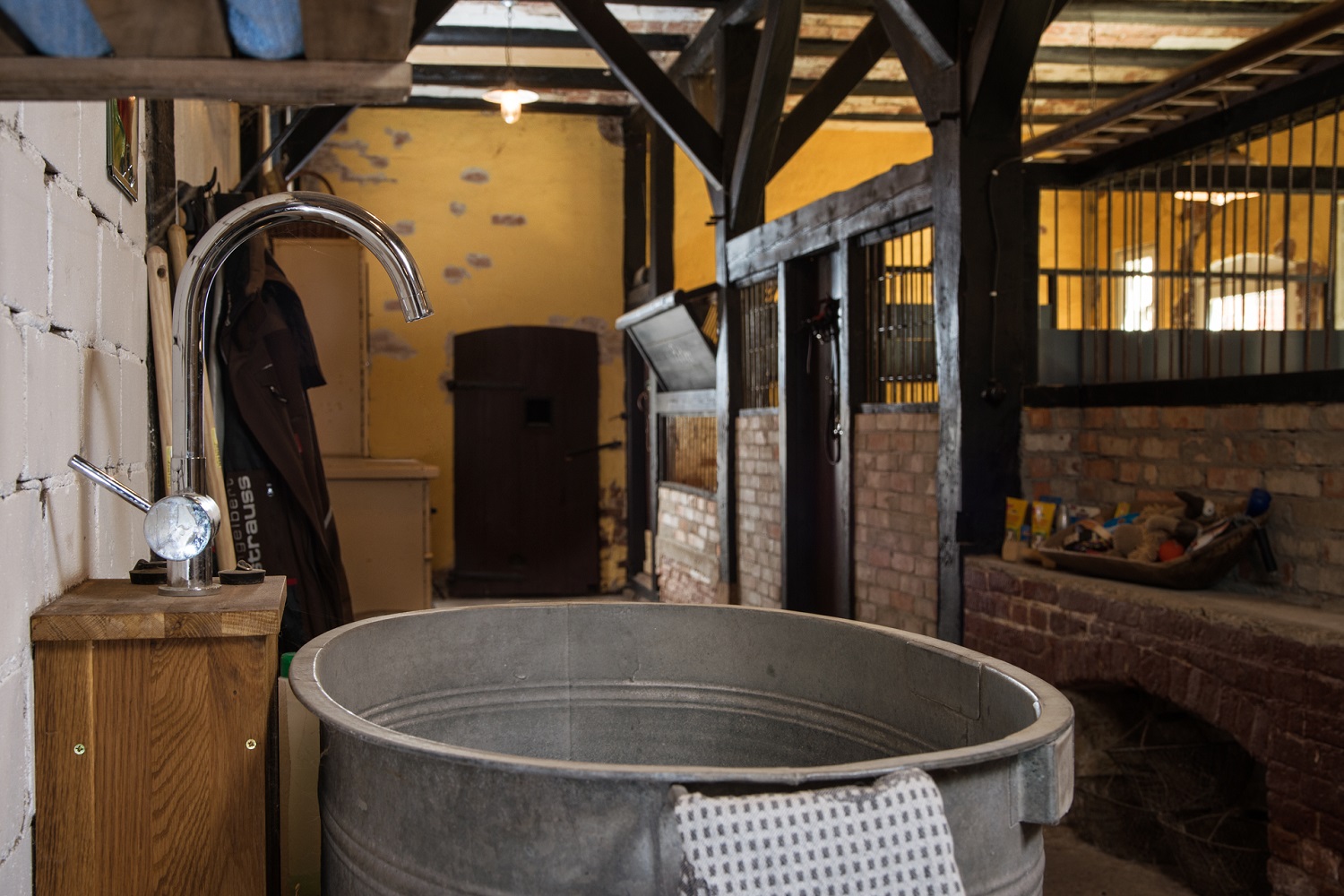 Hundepension Zehengänger - In der Hundepension