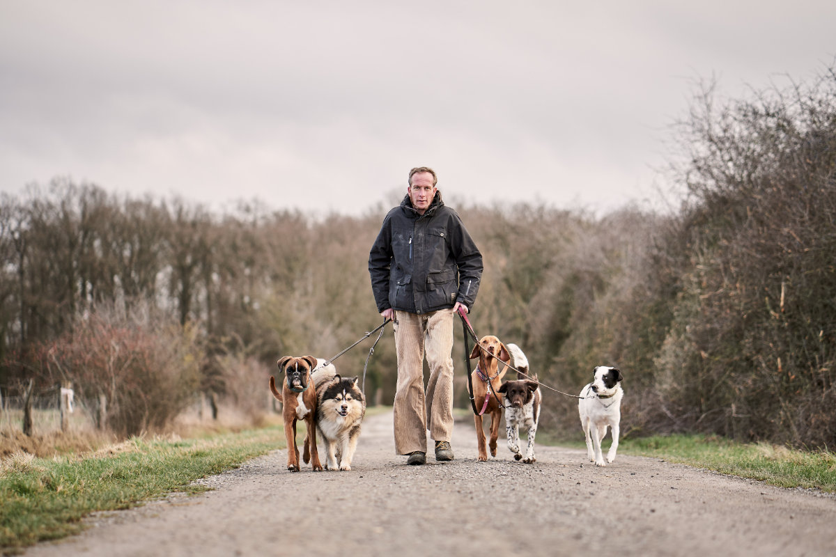 Axel Wöhler Dogwalking