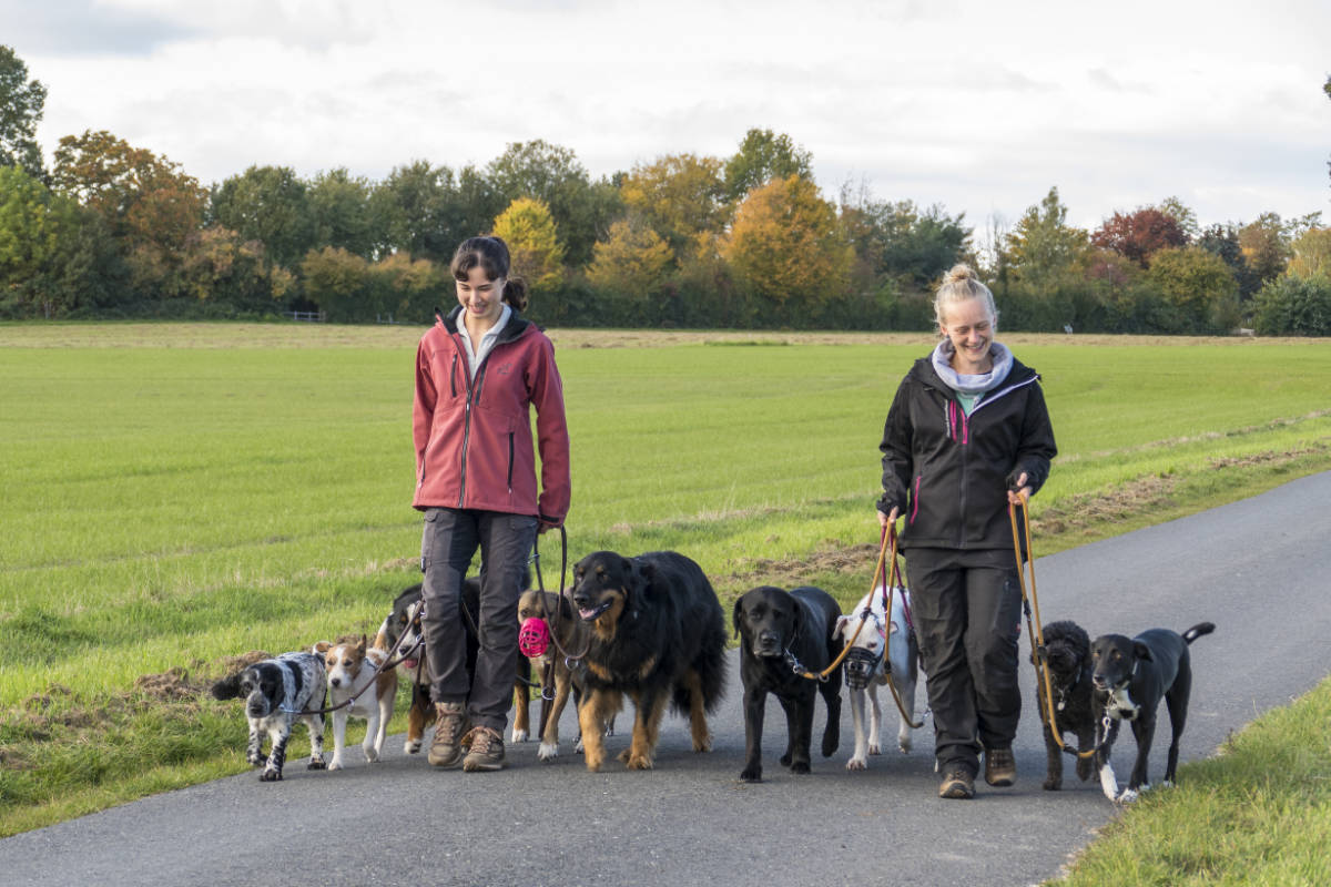 Eileen Föge und Syara von Arnim beim Gassi gehen